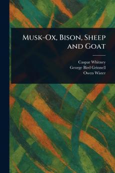 Musk-Ox Bison Sheep and Goat