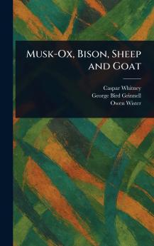 Musk-Ox Bison Sheep and Goat