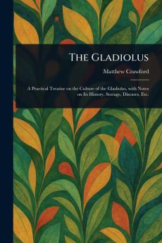 Gladiolus