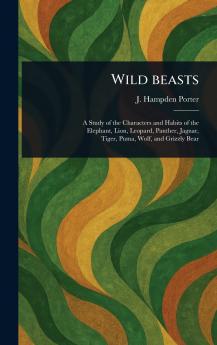 Wild Beasts