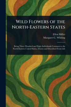 Wild Flowers of the North-Eastern States