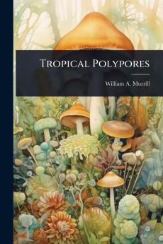 Tropical Polypores