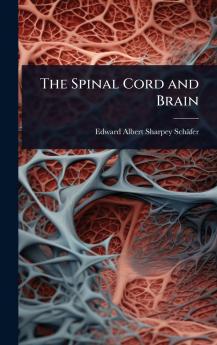 Spinal Cord and Brain