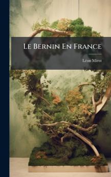 Bernin En France