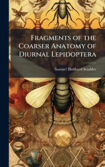Fragments of the Coarser Anatomy of Diurnal Lepidoptera