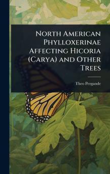 North American Phylloxerinae Affecting Hicoria (Carya) and Other Trees