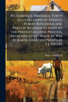 Picturesque Hinsdale. Forty Illustrations of Streets Public Buildings and Private Residences Made by the Photo Gelatine Process From Negatives Made by Wm. H. Baker. Gelatine Prints by E.J. Phelps