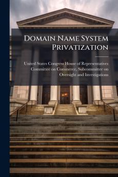 Domain Name System Privatization