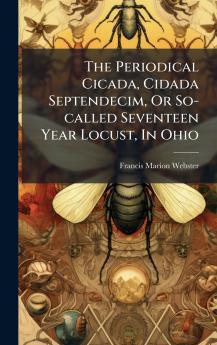 The Periodical Cicada Cidada Septendecim Or So-called Seventeen Year Locust In Ohio