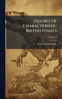 Figures Of Characteristic British Fossils
