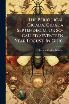The Periodical Cicada Cidada Septendecim Or So-called Seventeen Year Locust In Ohio