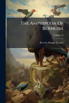 The Amphipoda Of Bermuda