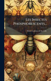 Les Insectes Phosphorescents...