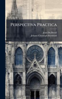 Perspectiva Practica