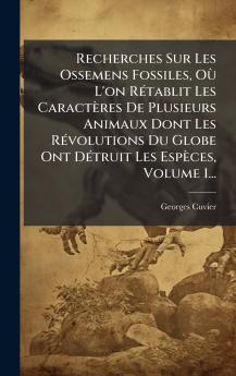 Recherches Sur Les Ossemens Fossiles OÃ¹ L'on RÃ©tablit Les CaractÃ¨res De Plusieurs Animaux Dont Les RÃ©volutions Du Globe Ont DÃ©truit Les EspÃ¨ces Volume 1...