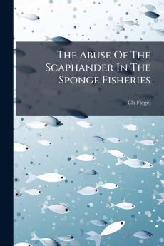 The Abuse Of The Scaphander In The Sponge Fisheries