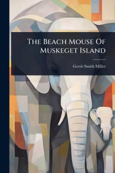 Beach Mouse Of Muskeget Island