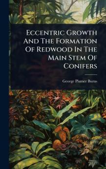 Eccentric Growth And The Formation Of Redwood In The Main Stem Of Conifers