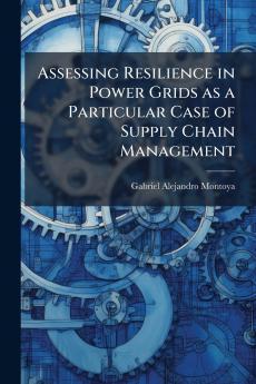 Assessing Resilience in Power Grids as a Particular Case of Supply Chain Management