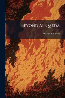 Beyond Al Qaeda