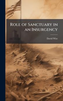 Role of Sanctuary in an Insurgency