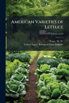 American Varieties of Lettuce