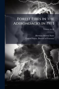 Forest Fires in the Adirondacks in 1903