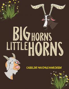 Big Horns Little Horns
