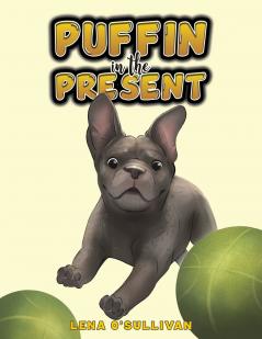 Puffin in the Present