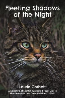 Fleeting Shadows of the Night