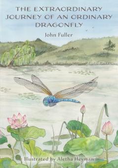 The Extraordinary Journey of an Ordinary Dragonfly