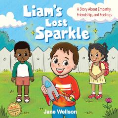 Liam's Lost Sparkle