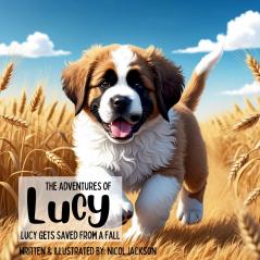 Adventures of Lucy - Lucy Gets Saved From a Fall