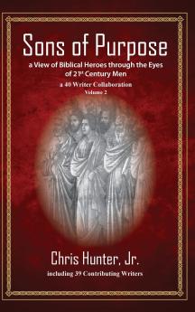 Sons of Purpose a View of Biblical Heroes through the Eyes of 21st Century Men