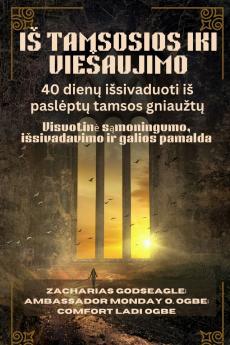 IŠ TAMSOSIOS IKI VIEŠAUJIMO - 40 dienų išsivaduoti iš paslėptų tamsos gniaužtų