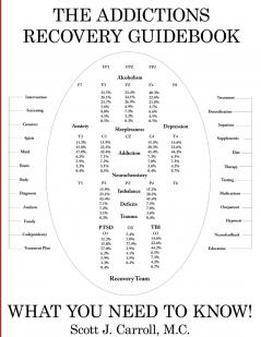 THE ADDICTIONS  RECOVERY GUIDEBOOK