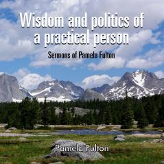 Wisdom and Politics of a Practical Person