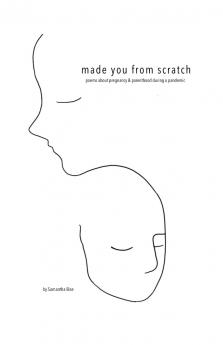 Made you from scratch