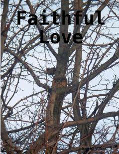 Faithful Love