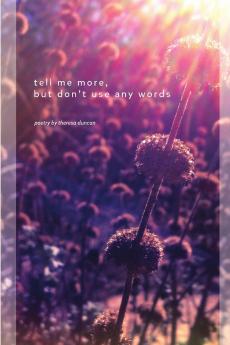 tell me more but don't use any words