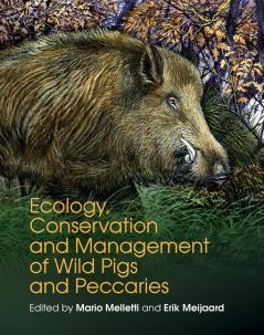 Ecology Conservation and Management of Wild Pigs and Peccaries