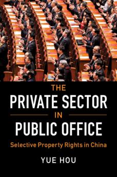 The Private Sector in Public Office