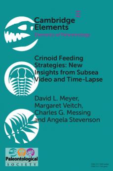 Crinoid Feeding Strategies