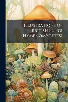 Illustrations of British Fungi (Hymenomycetes)