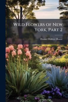Wild Flowers of New York Part 2