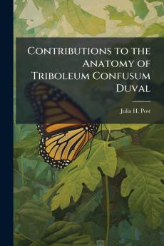 Contributions to the Anatomy of Triboleum Confusum Duval