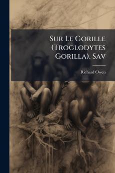 Sur Le Gorille (Troglodytes Gorilla). Sav