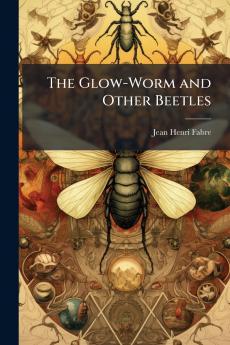 The Glow-Worm and Other Beetles