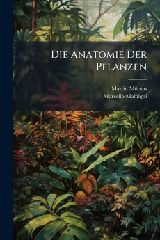 Die Anatomie Der Pflanzen