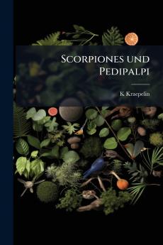 Scorpiones und Pedipalpi